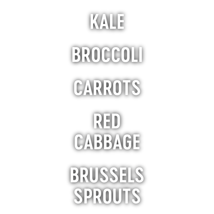 Superfood VeggieSlaw Graphic 2